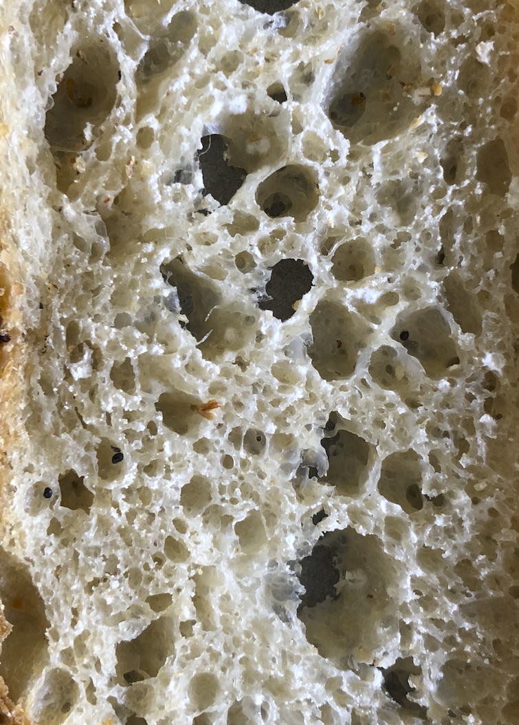 White mould growing on sourdough bread The Fresh Loaf